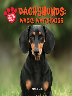 cover image of Dachshunds